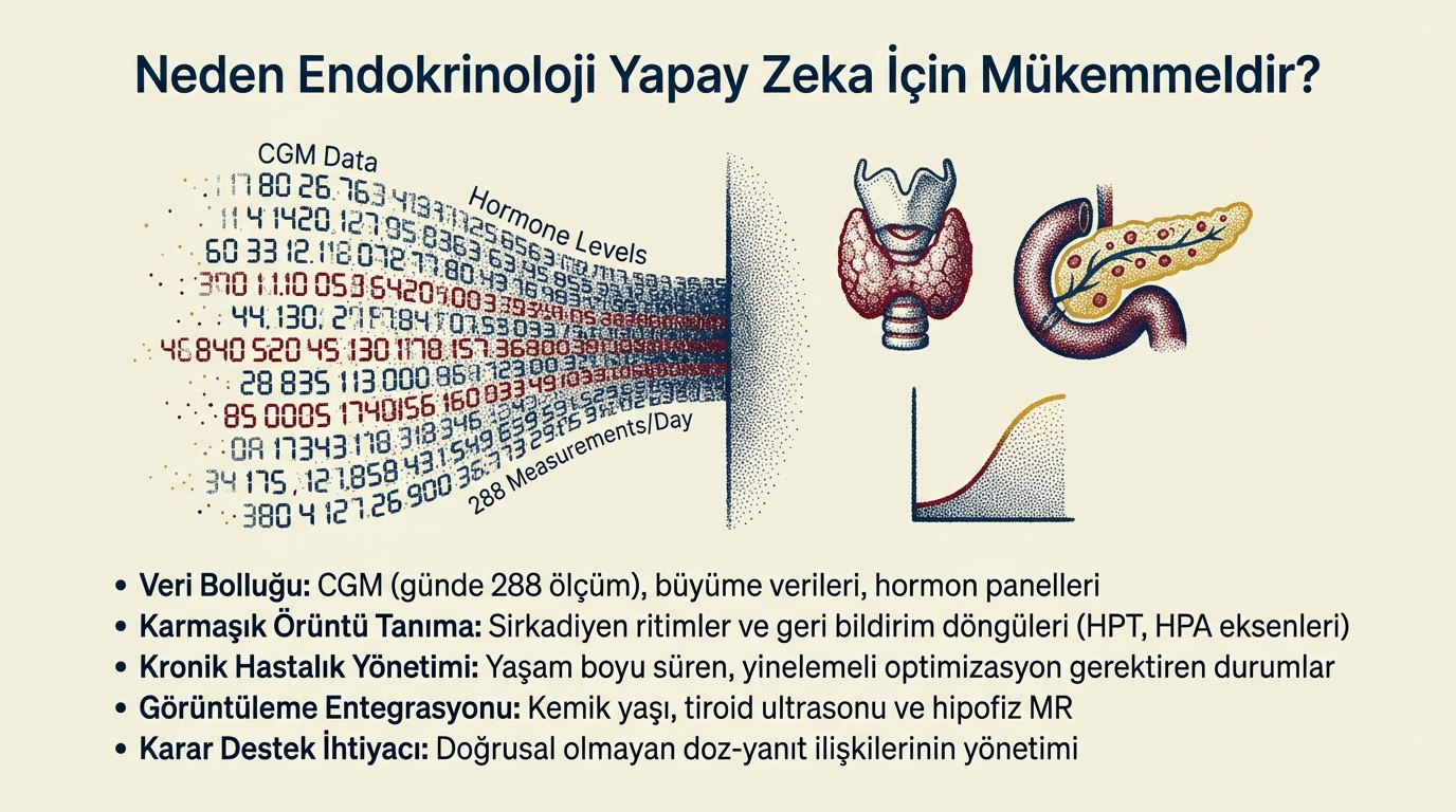 Slide 17
