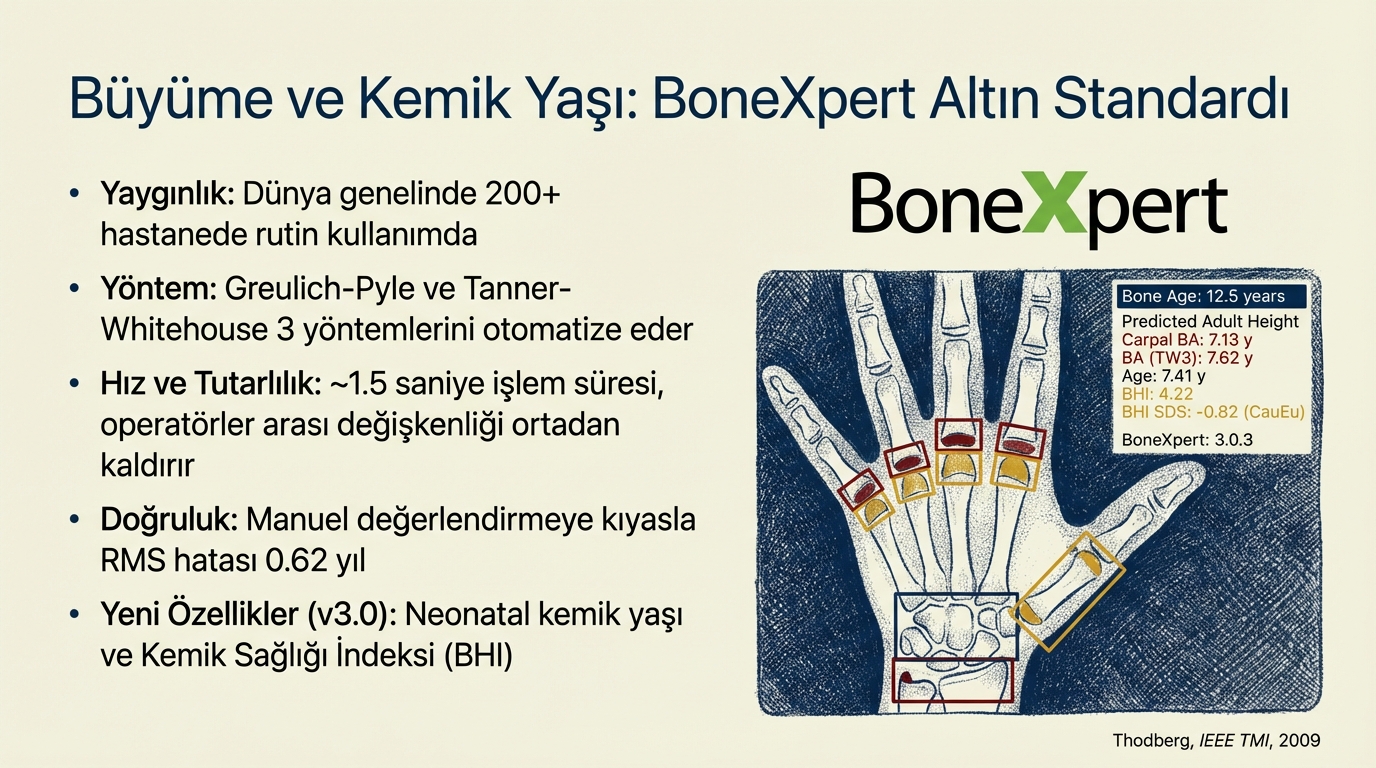 Slide 31
